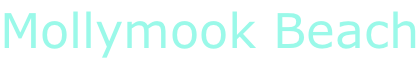 Mollymook Beach